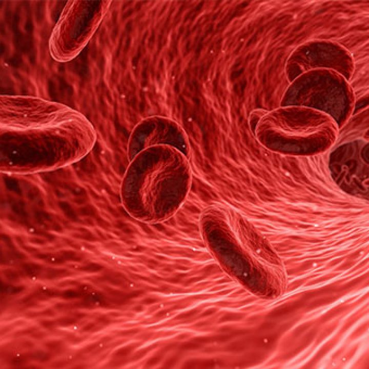 Die Geschichte der Eigenbluttherapie